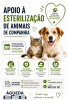 Campanha de apoio &agrave; esteriliza&ccedil;&atilde;o e identifica&ccedil;&atilde;o de animais de companhia