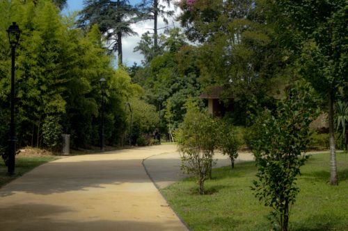 Parque Municipal Alta Vila 